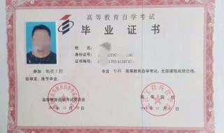 专升本网教报名 专升本网教报名